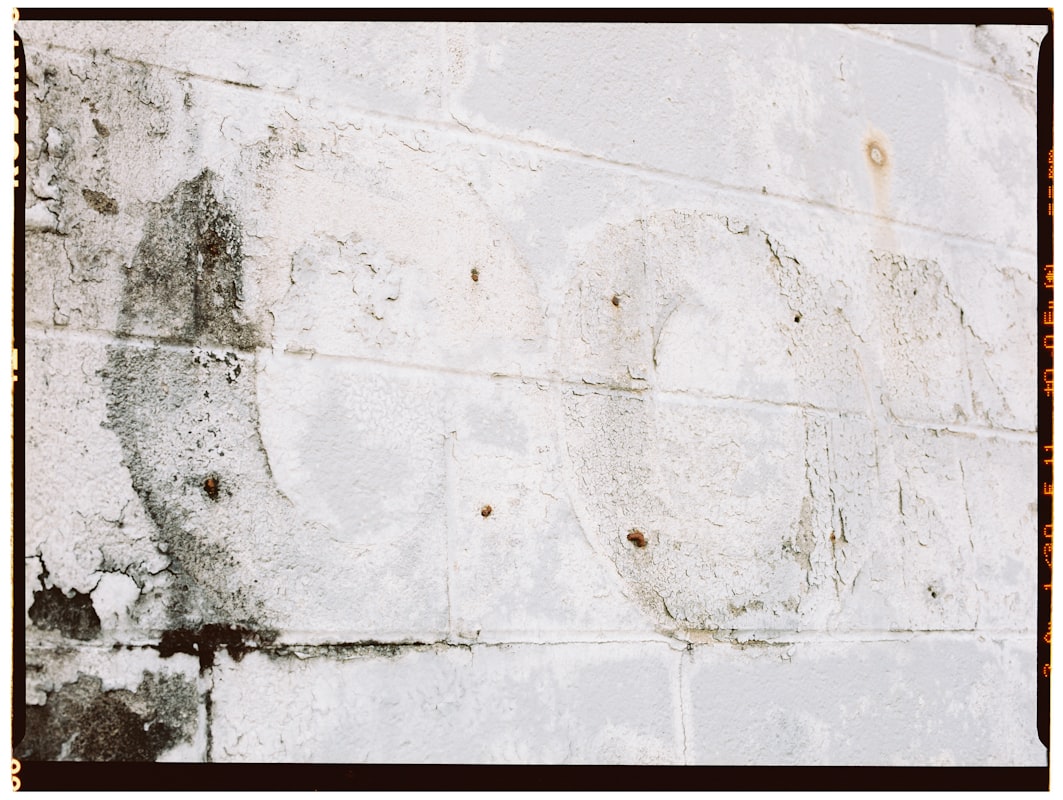 Flood Cleanup service in Mountain View, CA