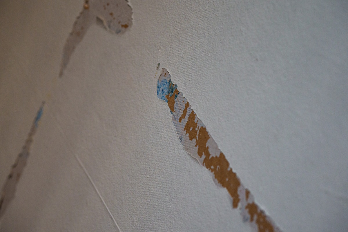 Mold Remediation service in Mountain View, CA